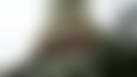 Sensex falls 286 points, Nifty drops 77 as realty, metal, private banks drag markets