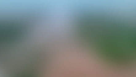 Heavy Rains Trigger Rising River Levels and Flood Alert in North Bihar