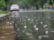 IMD forecasts heavy rainfall over Sub-Himalayan West Bengal and Sikkim