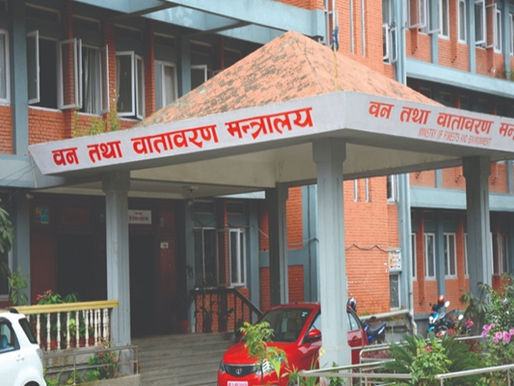 Nepal’s Forest Minister Instructs to Plant 10 Million Saplings to Combat Climate Change During Monsoon