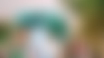 Odisha And Gangetic West Bengal Likely To Witness Severe Heatwave Conditions During Next Few Days