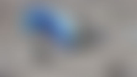 Azerbaijan Airlines Laud "Heroism" Of Pilots Who Died But Saved Half Of The Passengers