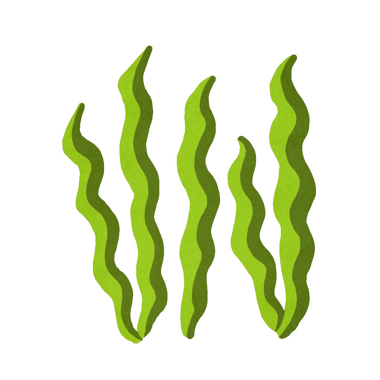 seaweed.gif