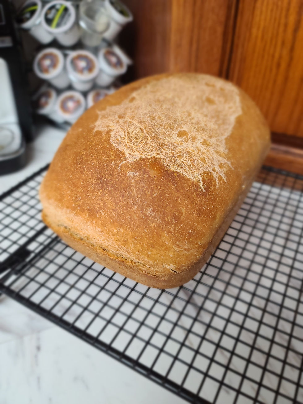 Light Wheat Sourdough Pan Loaf