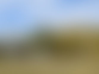 JulBud Ranch in 2023