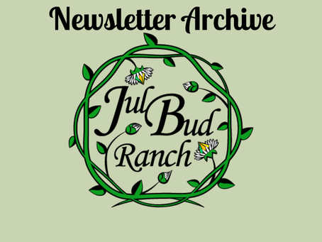 Ranch Newsletter | June 2026