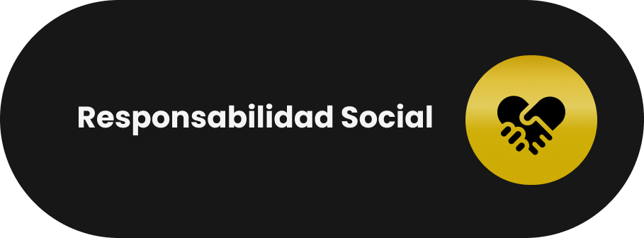 responsabilidad social