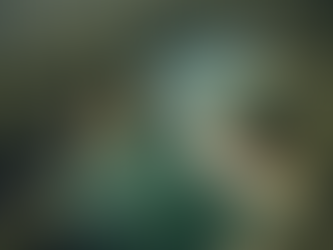 Achieve Clarity and Results with Nature Walk Executive Coaching