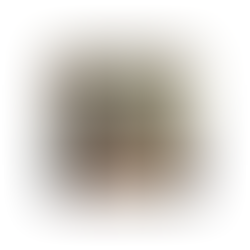 Why Rebounding Could Be the Workout You’ve Been Missing