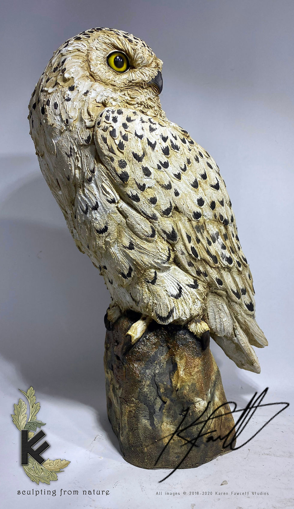 Thumbnail: Snowy Owl