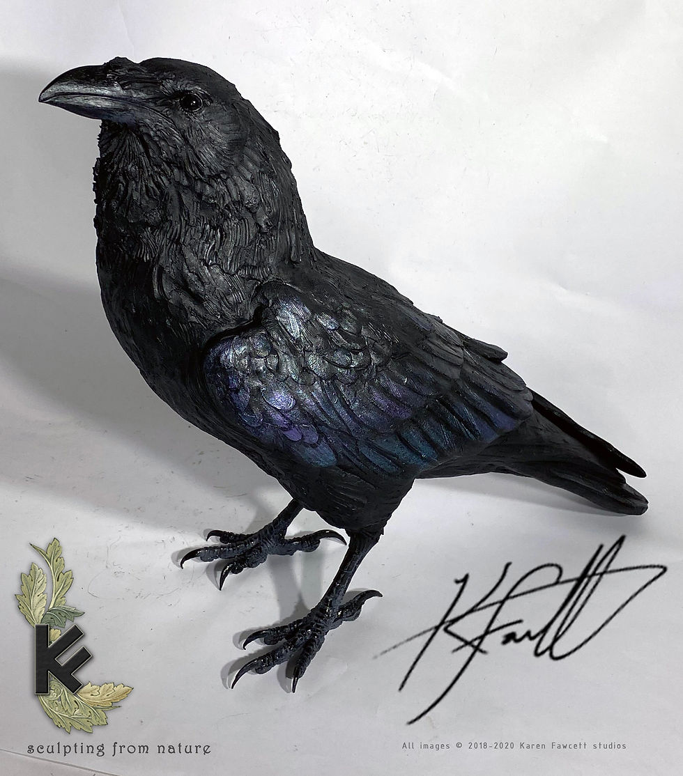 Thumbnail: Raven