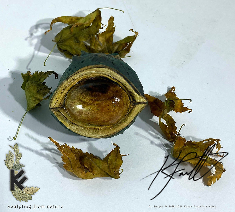 Thumbnail: Conker (horsechestnut)