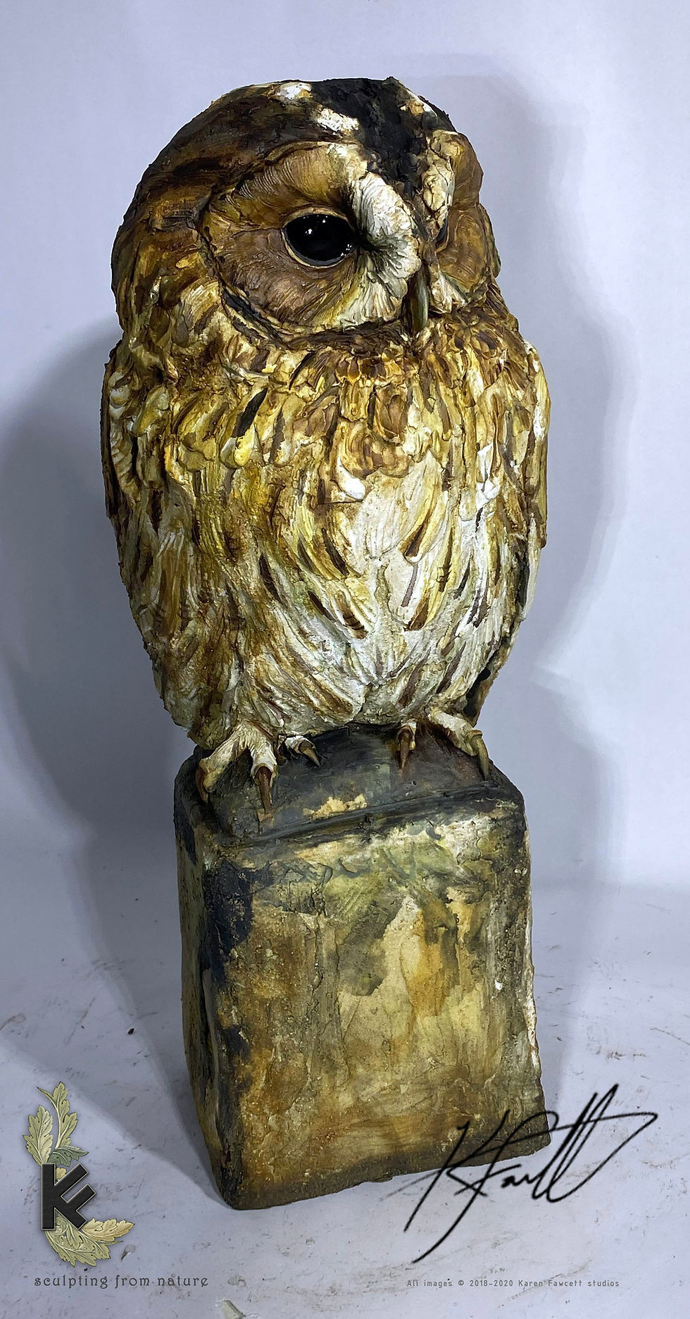 Thumbnail: Tawny Owl