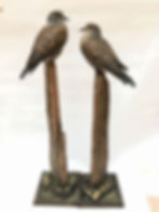 Thumbnail: Turtle Dove