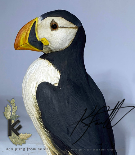 puffins　フラット加工 file.jpg