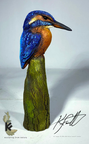 Kingfisher | K.F.Studios