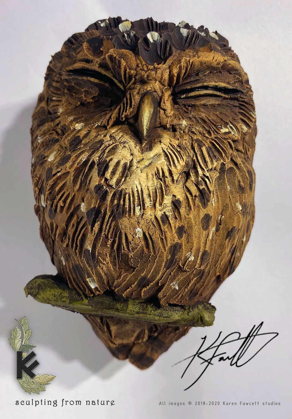 Thumbnail: Baby Owl