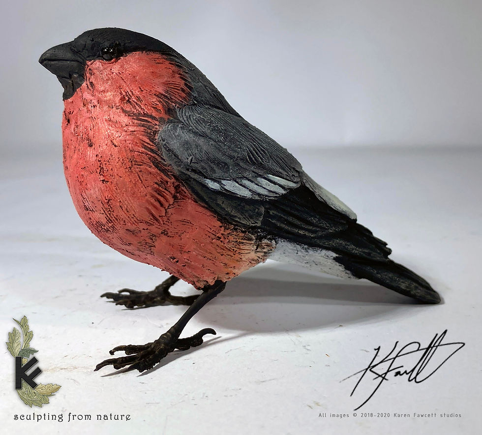 Thumbnail: Bull Finch