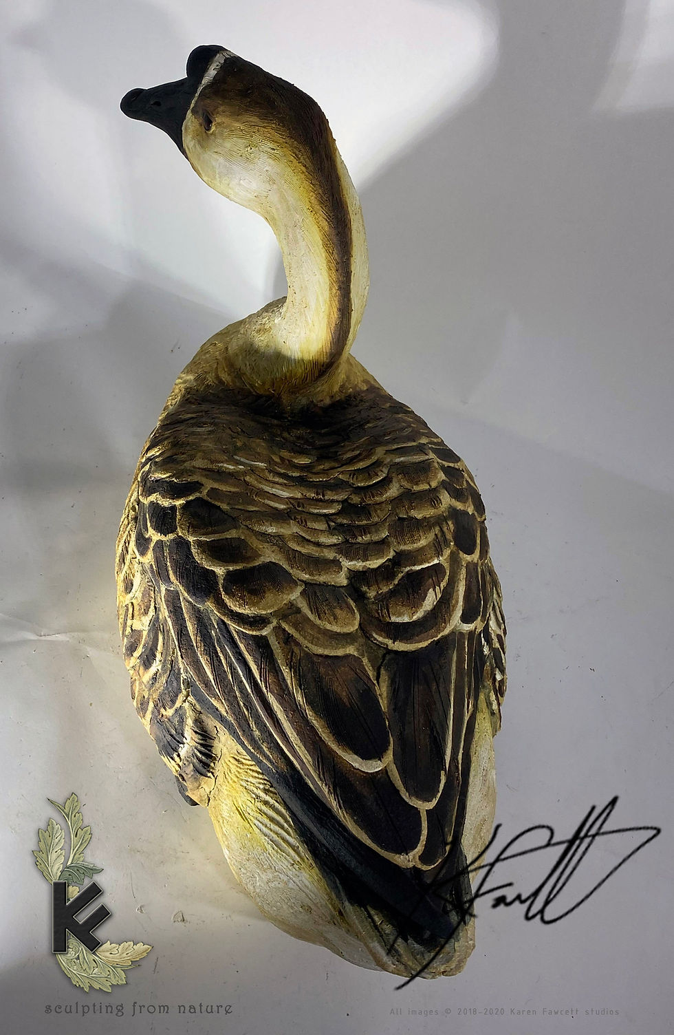 Thumbnail: Swan Goose