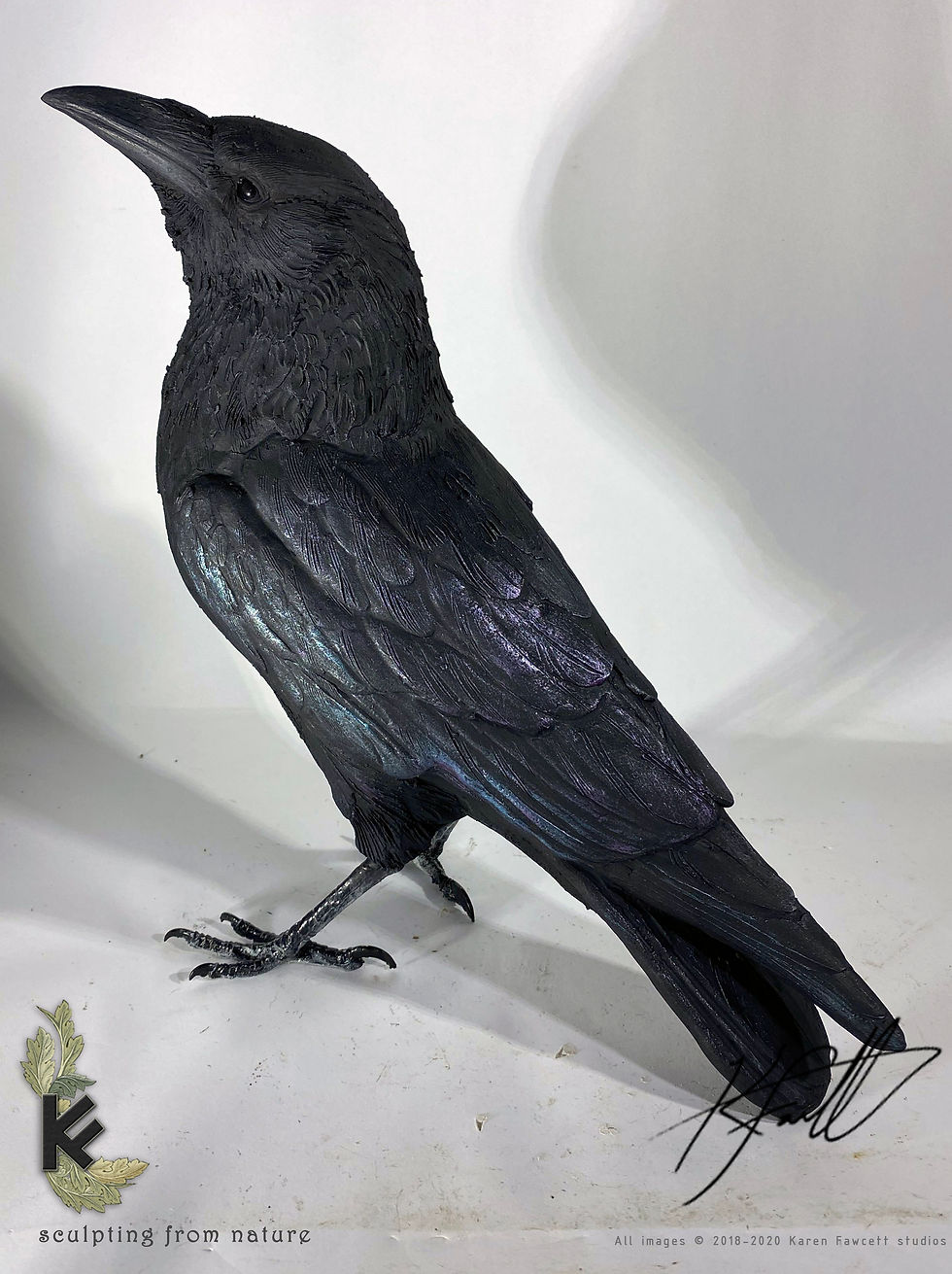Thumbnail: Crow