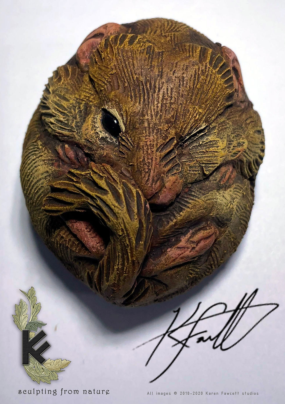 Thumbnail: Dormouse