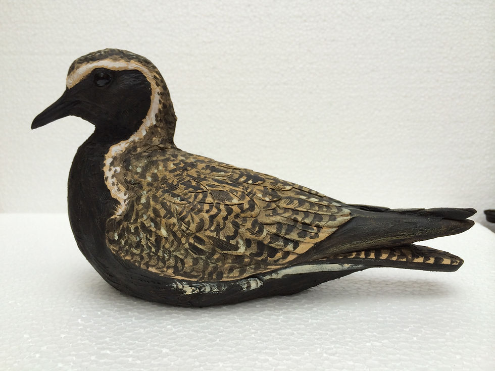 Thumbnail: Golden Plover