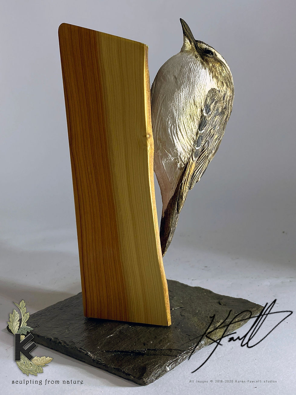 Thumbnail: Treecreeper