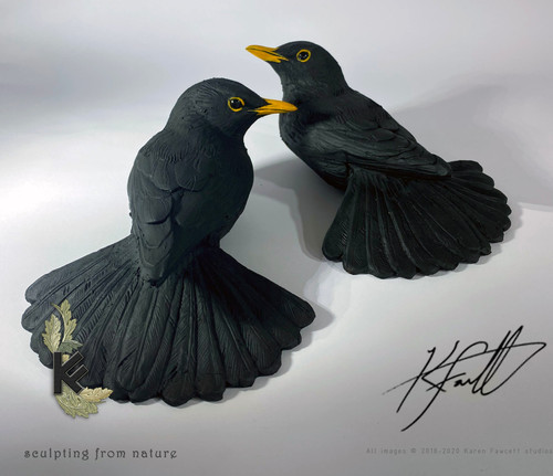 【美品★未開封】BLACK BIRD セット出品 Blackbird male | K.F.Studios