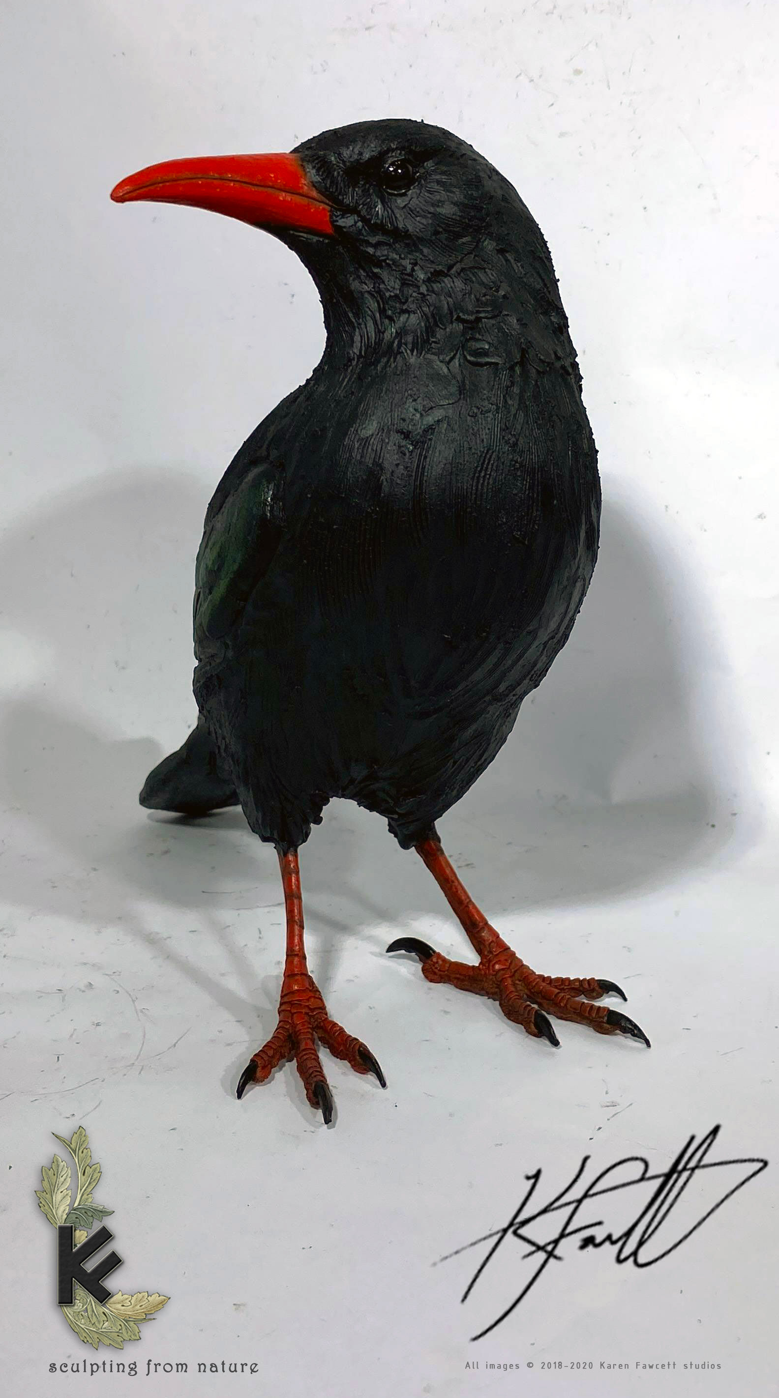 Chough