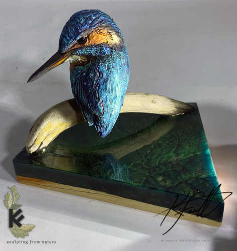 Kingfisher | K.F.Studios