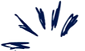 Doodles_edited_edited_edited.png
