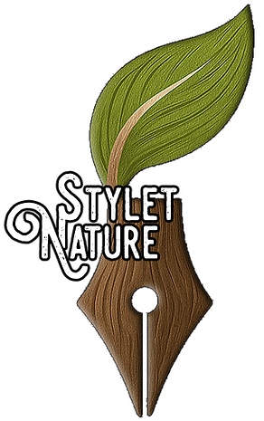LOGO-FN.png