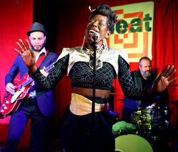 Shirley Davis & the Silverbacks