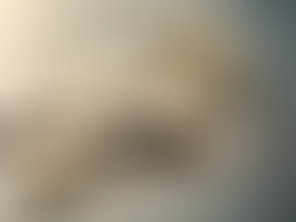 Transform Your Credit Score with Accountable Achiever