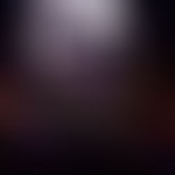 Blues Brothers Celebrate 40th Anniversary At The Paramount