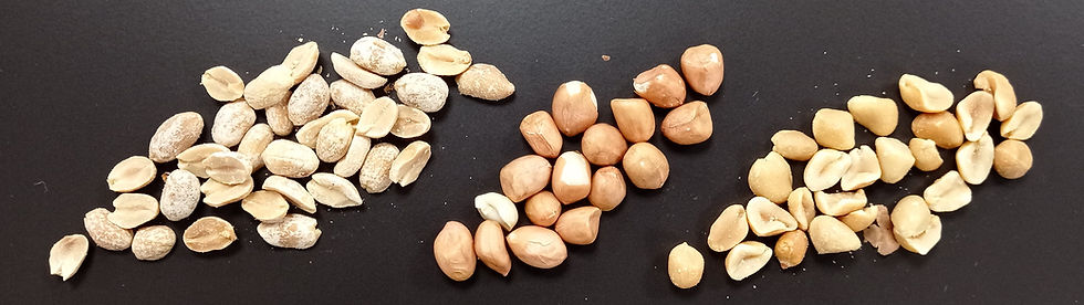 L-R: Roasted for peanut butter, plain, roasted & salted