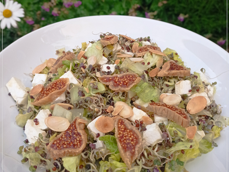 Broccoli, Fig & Feta Salad