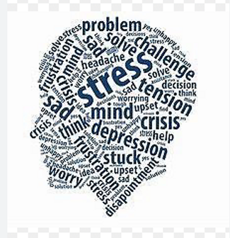 Screenshot 2024-06-19 at 13.35.42.png