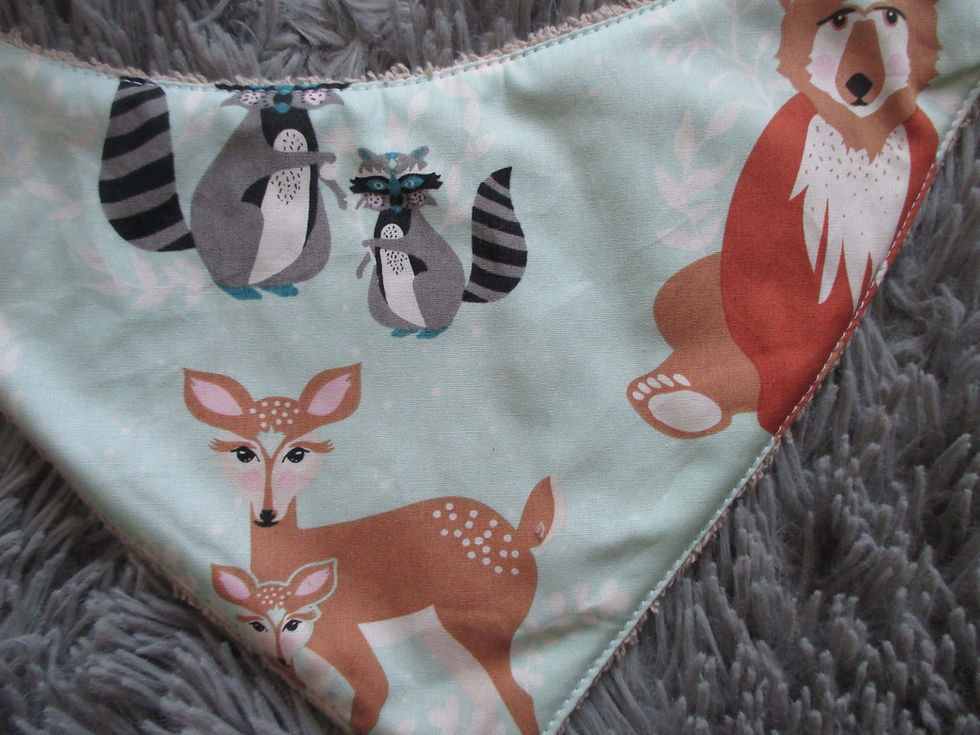 Miniature : Bandana bavoir (Déjà offert par Claudia)