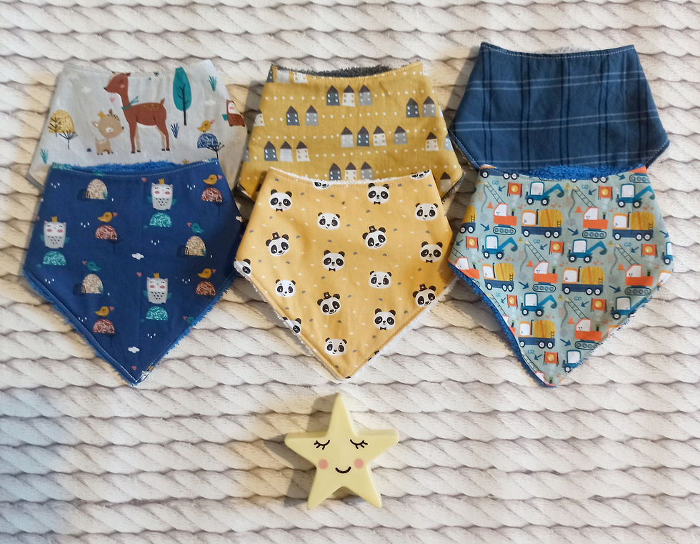 Miniature : Bandana bavoir lot de 2 Pandas / Maisons