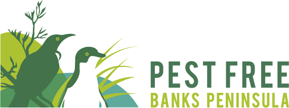 PFCT-logo_Landscape-YellowGreen_CMYK.png
