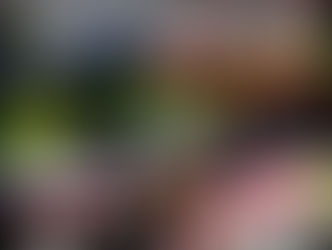 Grand-Prix du Qatar Moto GP sur écran géant