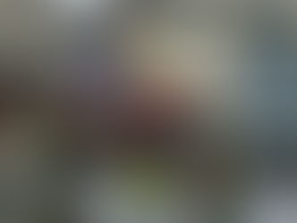 Nicolas Charlier se confie pour 2017