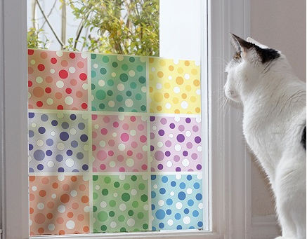 Cach dan decal khong bi nhan