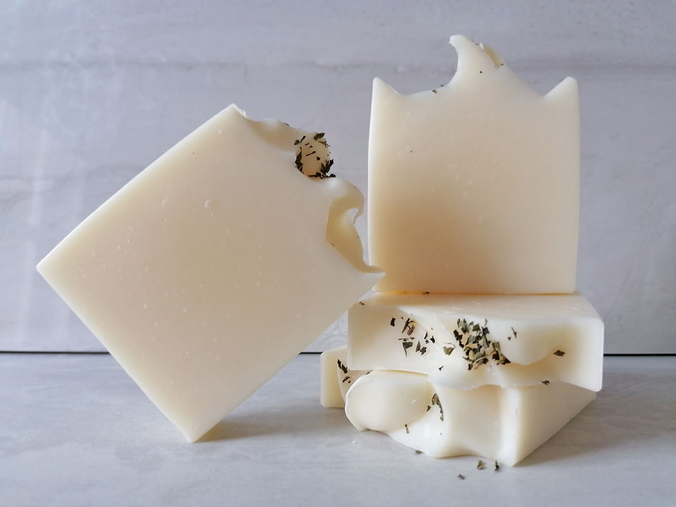 Thumbnail: Wild Mint