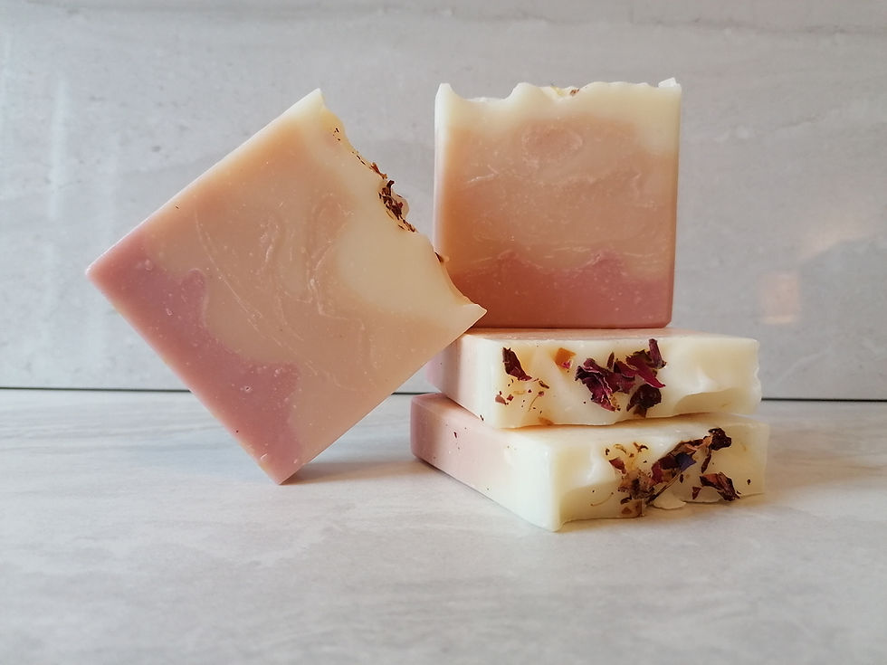 Thumbnail: Wild Rose