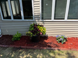 70975171972__719EF5B0-C083-43F4-964E-B85D97212038