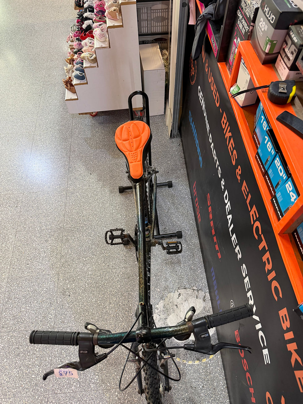 Thumbnail: RALEIGH AMAZON