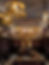 DSC04454_533x.webp