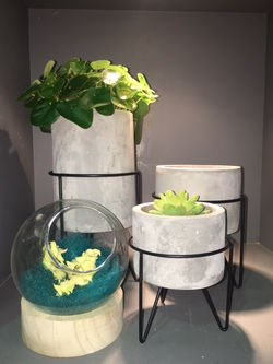 greenliving5